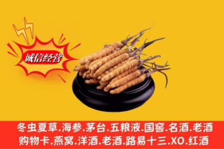 元阳县求购回收虫草多少钱每克